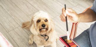 Close-up of mature woman sitting with dog while painting on canvas at home