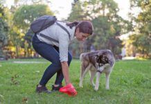 Woman picking dog poo in plastic bag