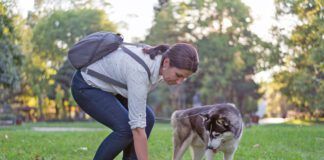 Woman picking dog poo in plastic bag