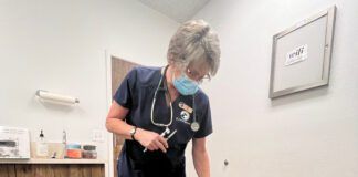 A dog seeking attention from a veterinary technician during a routine procedure.