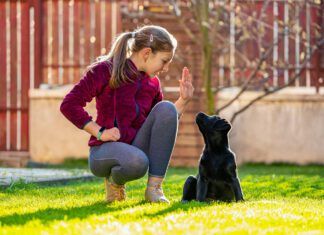 Dogs and Children: How to Keep Them Both Safe - Whole Dog Journal