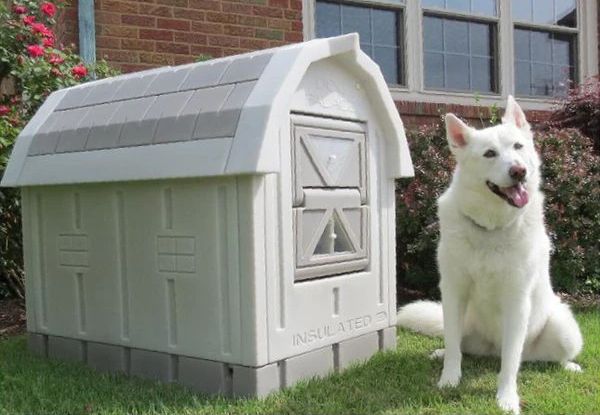 A Look at Heated Dog Houses - Whole Dog Journal