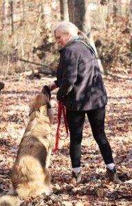 A woman pauses a walk to reward her dog for obeying her commands.