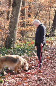 A woman pauses during a walk to let dog sniff and engage with the surroundings.