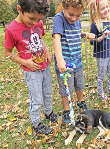 Children offer a puppy within a tug toy to chew and pull on.