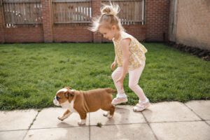 A side view of a young girl playing in the garden with her pet british bulldog.