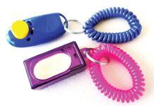 Clickers for dog training make a sharp clicking noise when pressed helping to cue a dog.