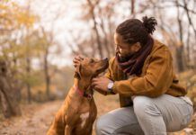 Cheerful young African American man showing love to his dog a Rhodesian Ridgeback.