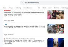 A list of news stories about dogs reunited with their families.