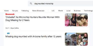 A list of news stories about dogs reunited with their families.