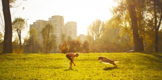 A golden retriever runs towards it's female owner during playtime in the park.