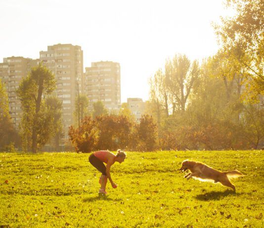 A golden retriever runs towards it's female owner during playtime in the park.