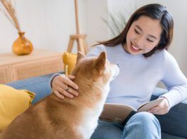 Decoding Your Dog Book from Whole Dog Journal
