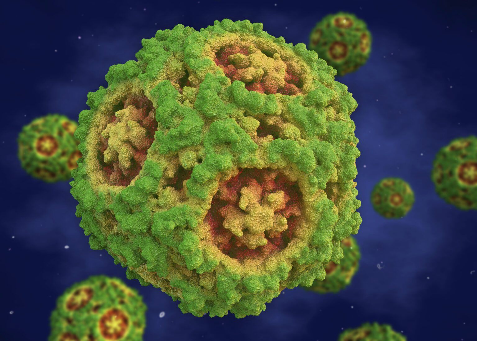 How Long Can Parvo Last in the Environment? Whole Dog Journal