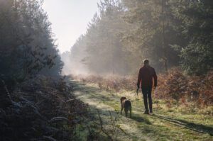 The symptoms of heartworms in dogs start small but get increasingly serious without treatment.