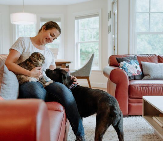 A woman introducing a cat to a dog, the cat is clearly upset.