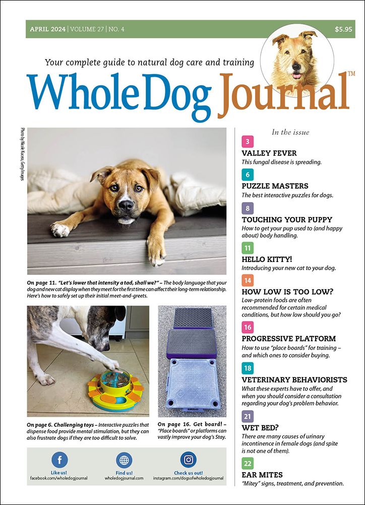 Download The Full April 2024 Issue PDF Whole Dog Journal