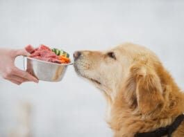 Dog Food Logic Book from Whole Dog Journal