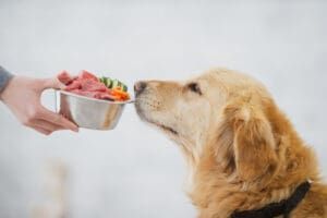 Dog Food Logic Book from Whole Dog Journal