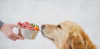 Dog Food Logic Book from Whole Dog Journal