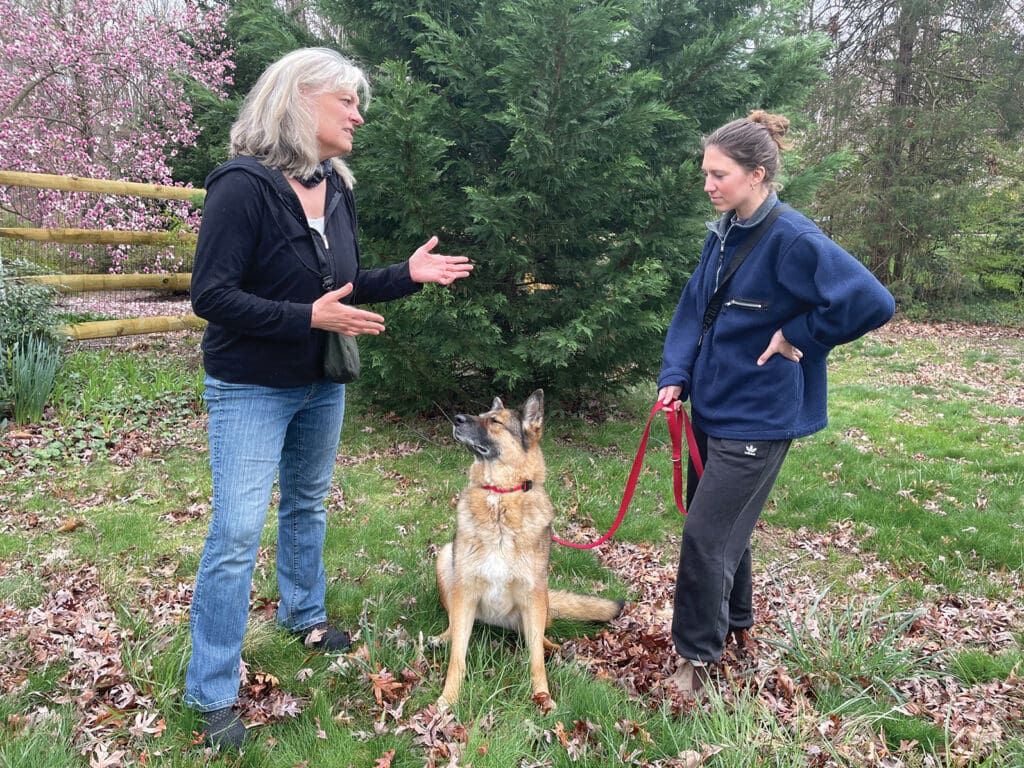 who-is-the-dog-trainer-training-whole-dog-journal