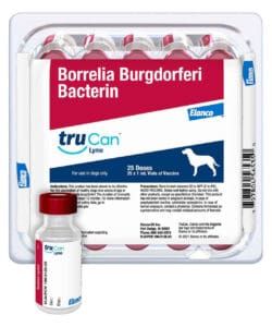 The lyme vaccine for dogs targets proteins on the surface of the borrelia burgdorferi bacteria.