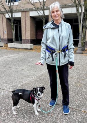 A dog walking bet can be a convenient alternative to holding a leash with your hand.