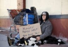 Dogs who live on the streets with their people may not have much beyond love.