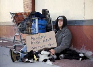 Dogs who live on the streets with their people may not have much beyond love.