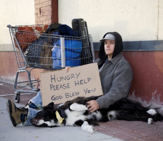 Dogs who live on the streets with their people may not have much beyond love.