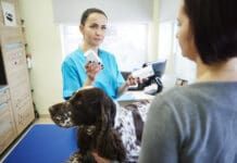 Dog pain medication is prescribed to help dogs maintain quality of life while dealing with medical care or illness.
