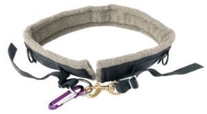 The Whitepine Walk-a-Belt heavy duty belt is the WDJ top dog walking belt.