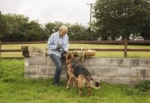 When your dog eats an onion it's natural to panic, but how much onion is toxic to dogs.