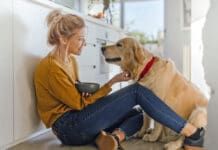 Dogs can eat oatmeal provided it's cooked and made without additional ingredients.