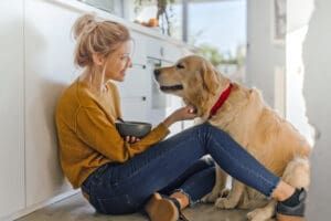 Dogs can eat oatmeal provided it's cooked and made without additional ingredients.