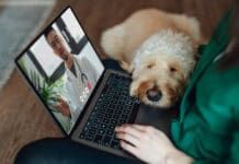 Veterinary telehealth can provide immediate care for your dog when they need it most.
