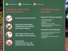 A prominent display of dog park rules.