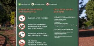 A prominent display of dog park rules.