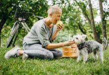 Dogs can eat french fries. However, this isn't a healthy snack for them.