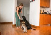 Managing A Multi-Dog Household eBook from Whole Dog Journal