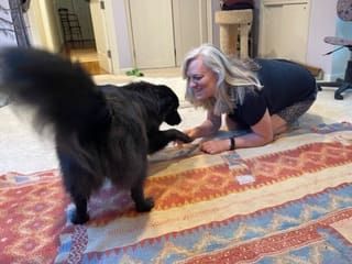 Getting down to their level is a great way to play with your dog.