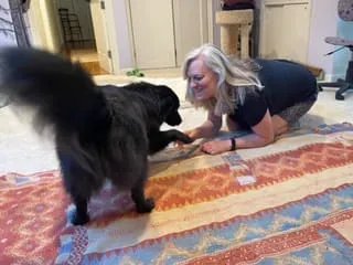 Getting down to their level is a great way to play with your dog.