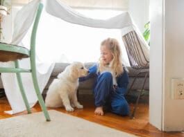 There is no set puppy training schedule