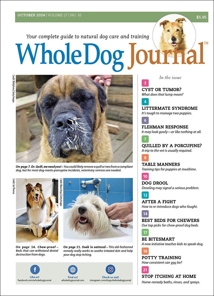 The New Issue of Whole Dog Journal Is Now Available - Whole Dog Journal