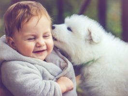 The cost of owning a dog can be substantial, but it's worth it in companionship.