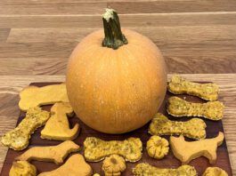 Pumpkin dog treats can offer a seasonal and healthy treat for your dog.