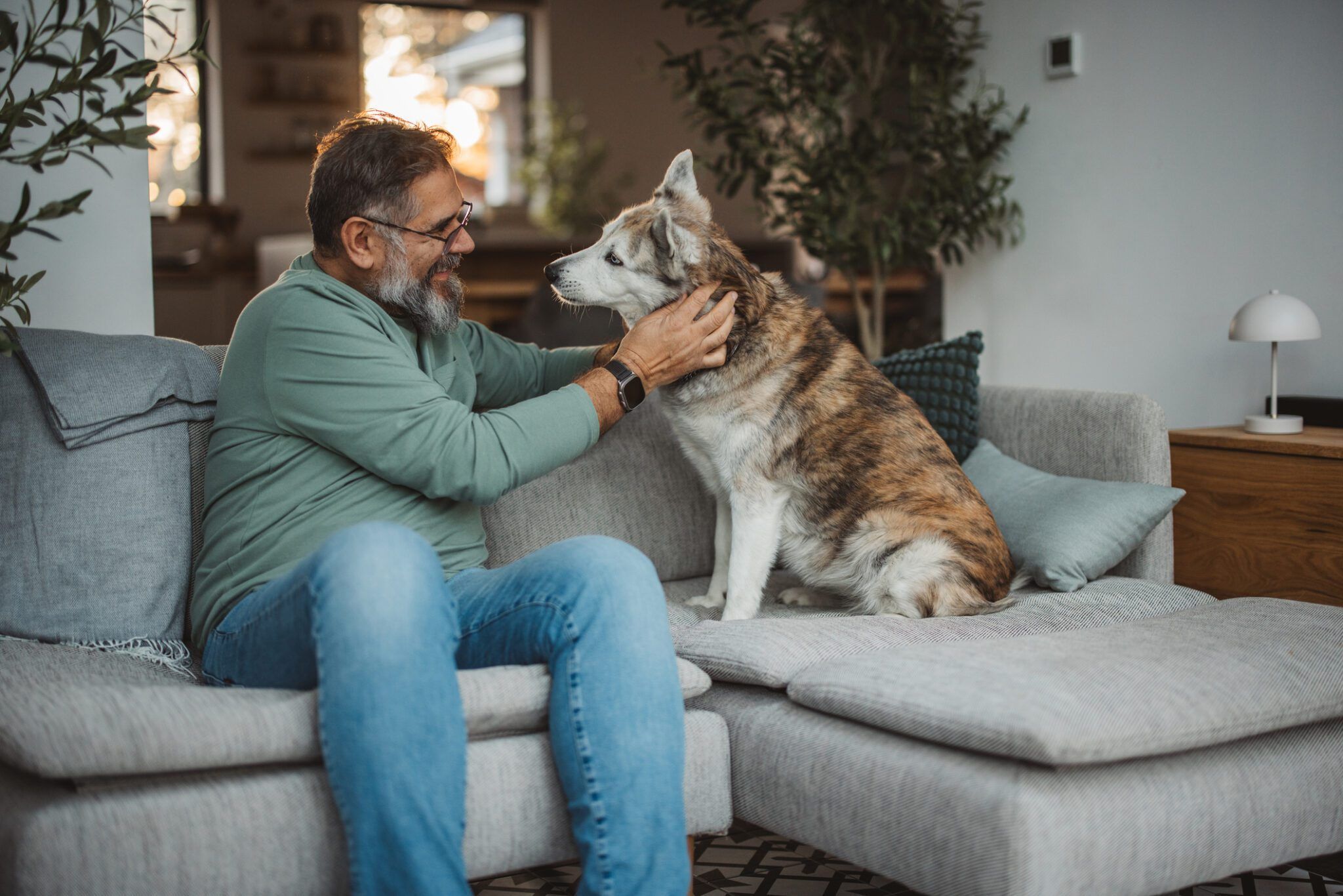 How to Keep Dogs Off the Couch Whole Dog Journal