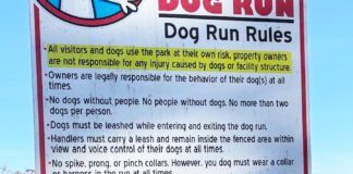 Dog park rules are often listed on signs like the one displayed here.