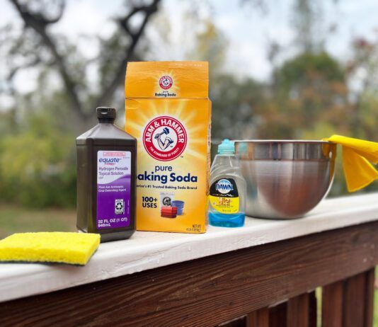 These simple recipes provide a simple way to remove skunk smell from a dog.