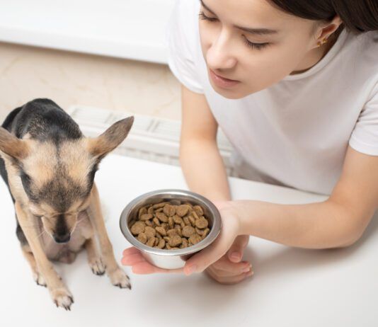 Food Archives Whole Dog Journal